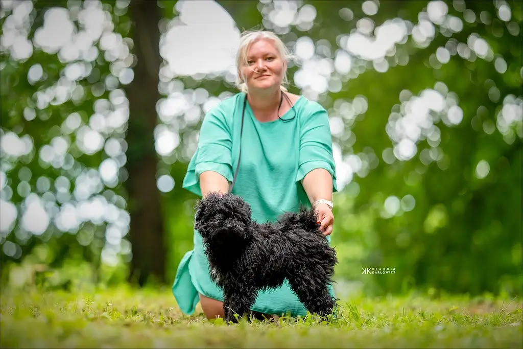 Dogfestival Veľká Ida